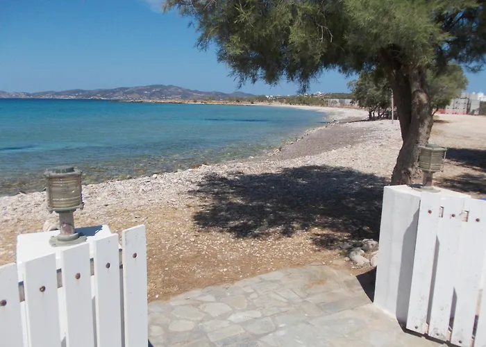 Lägenhet Right On The Beach- Beachfront-best Unit -paros