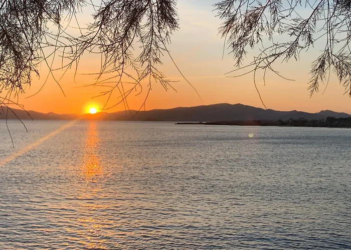 Lägenhet Right On The Beach- Beachfront-best Unit -paros