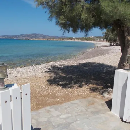 公寓 Right On The Beach- Beachfront-best Unit -paros